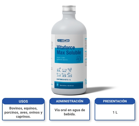 Mediker Vitaforce Max Soluble